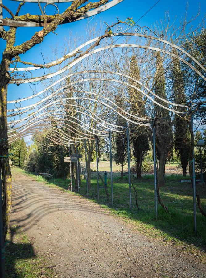 Agriturismo Le Biricoccole วาดา ภายนอก รูปภาพ