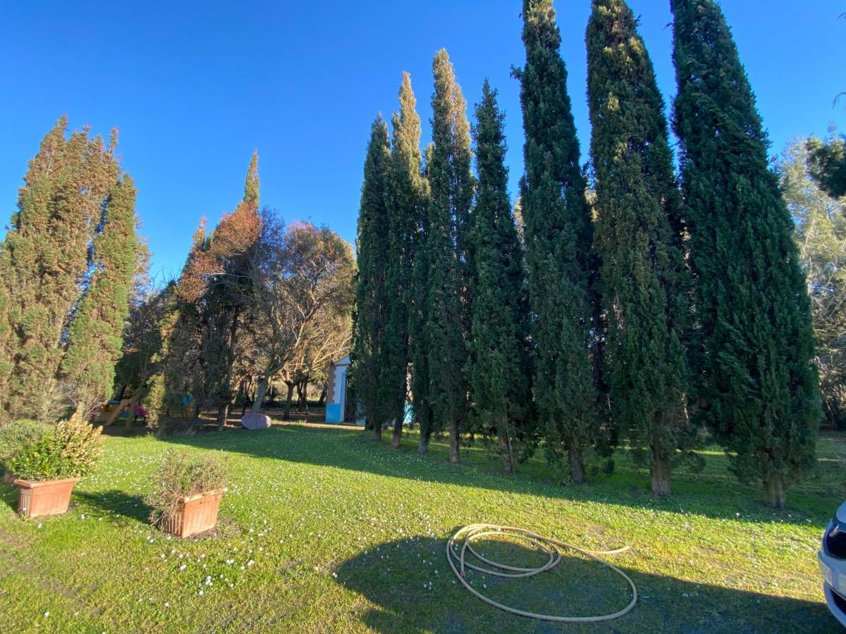 Agriturismo Le Biricoccole วาดา ภายนอก รูปภาพ