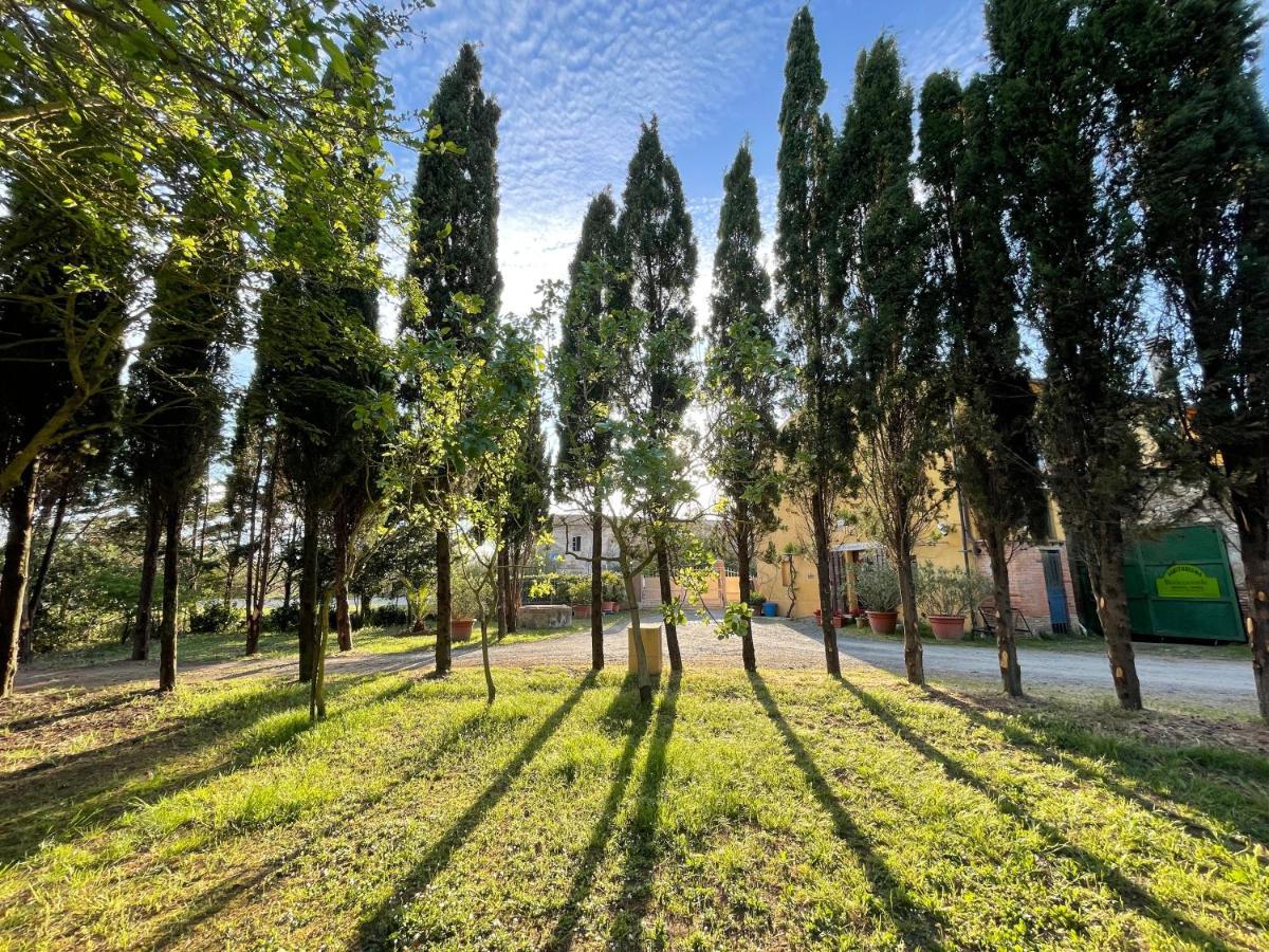 Agriturismo Le Biricoccole วาดา ภายนอก รูปภาพ
