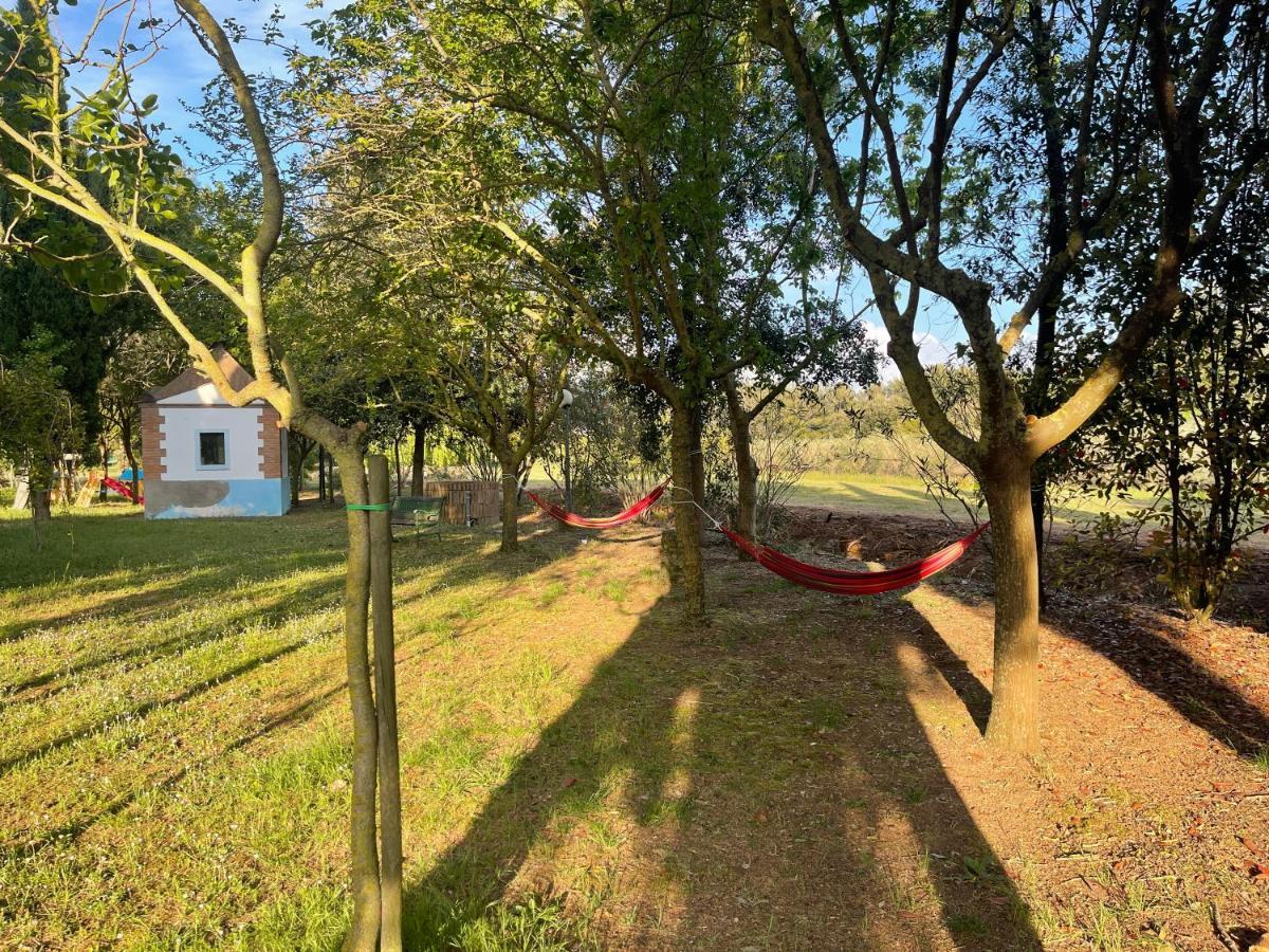 Agriturismo Le Biricoccole วาดา ภายนอก รูปภาพ