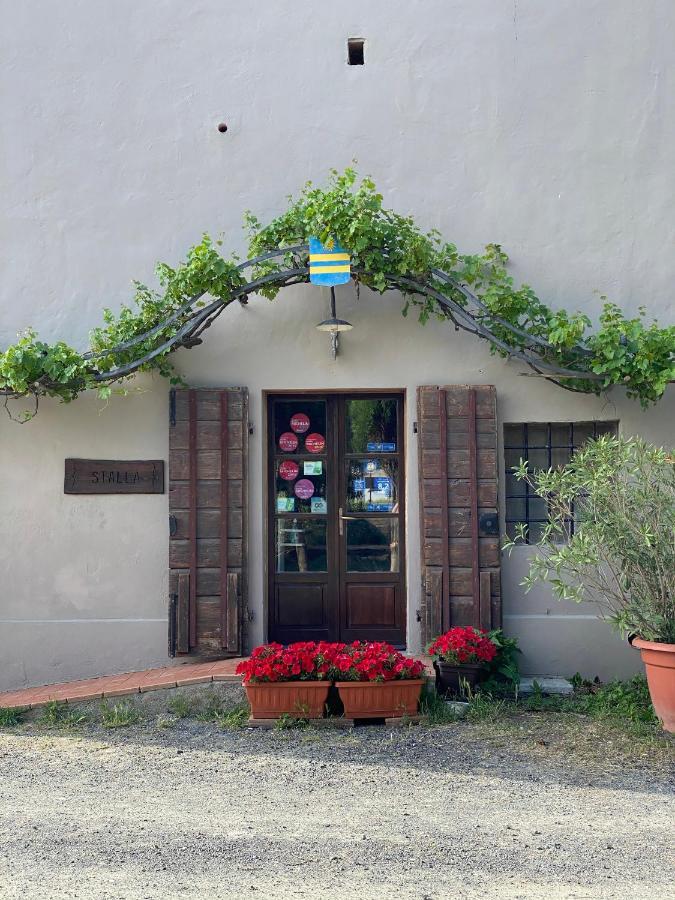 Agriturismo Le Biricoccole วาดา ภายนอก รูปภาพ