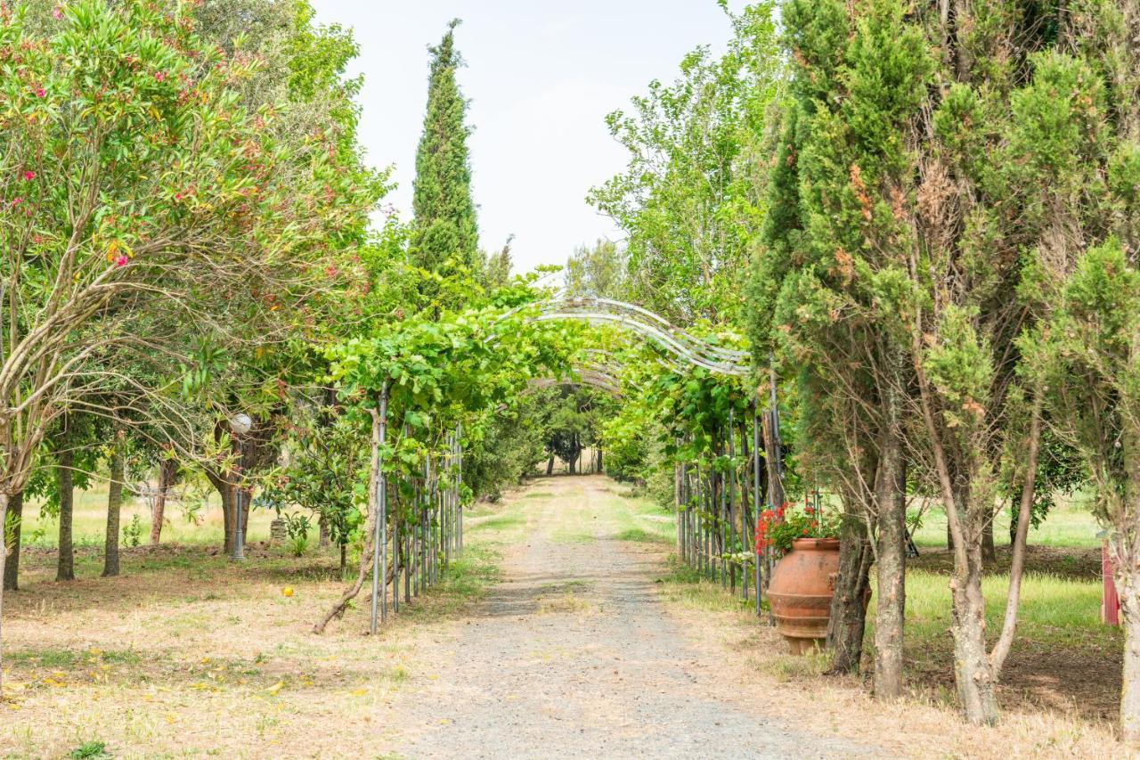 Agriturismo Le Biricoccole วาดา ภายนอก รูปภาพ