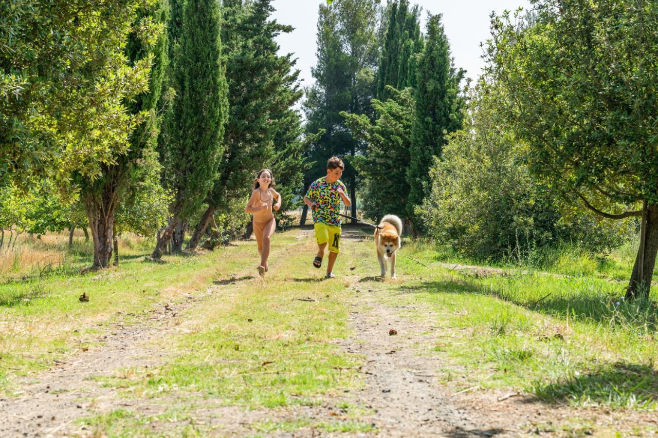 Agriturismo Le Biricoccole วาดา ภายนอก รูปภาพ