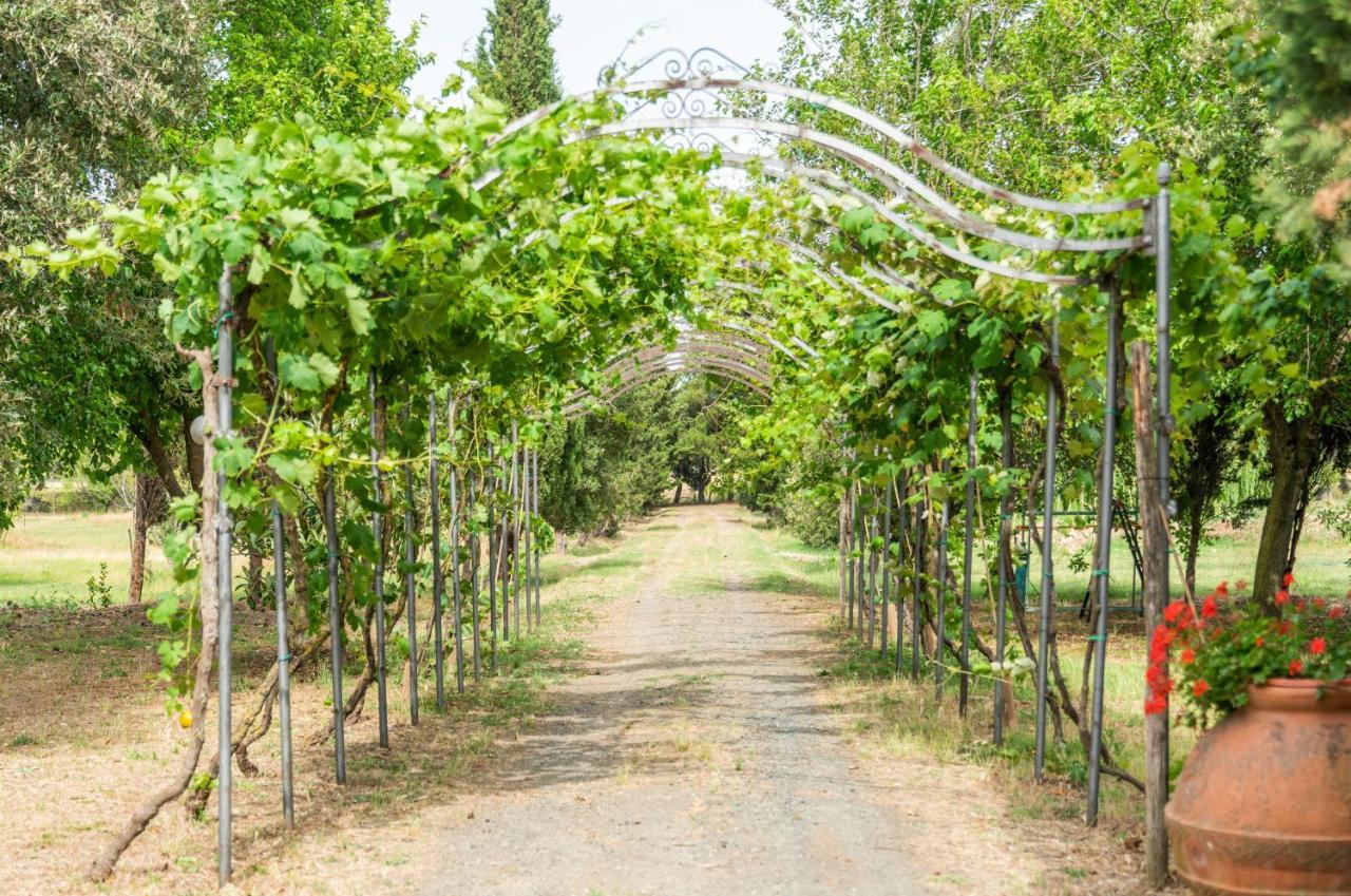 Agriturismo Le Biricoccole วาดา ภายนอก รูปภาพ