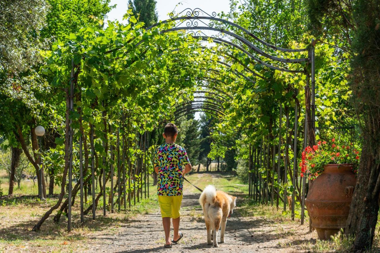 Agriturismo Le Biricoccole วาดา ภายนอก รูปภาพ